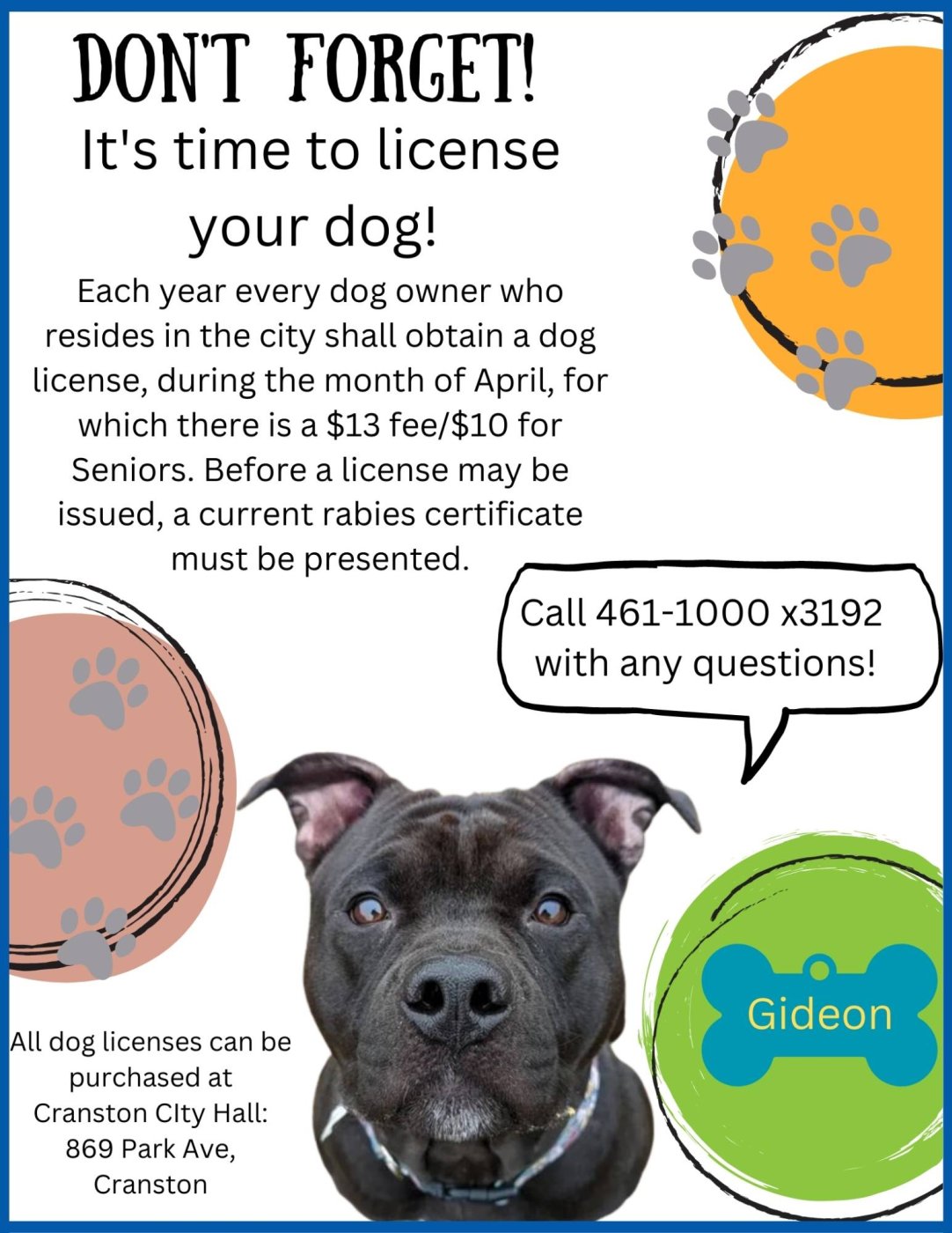 Dog Licenses 